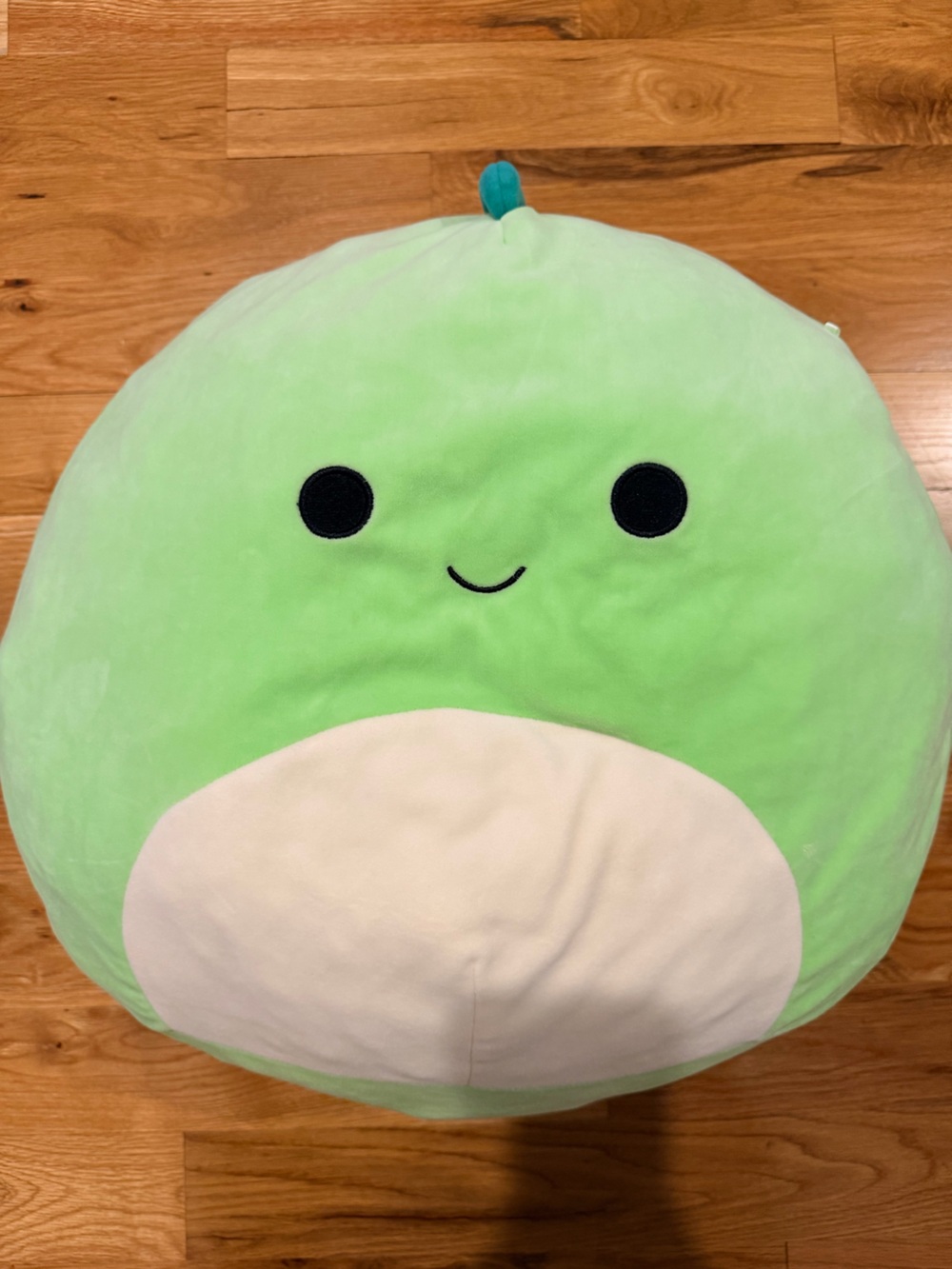 Squishmallow | Green Dragon | Extra Large 20”